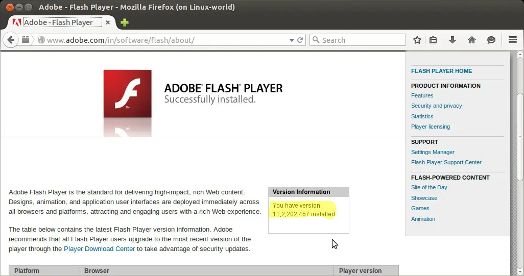 Flash Player Vista Issue