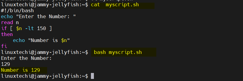 bash assignment statement