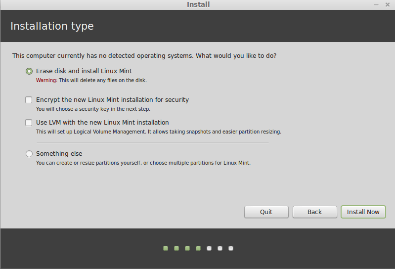 linuxmint-installation-type