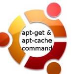 Linux grep command with 14 different examples