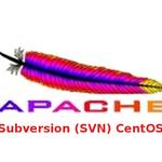 Install & Configure Apache Subversion (SVN) on CentOS 7