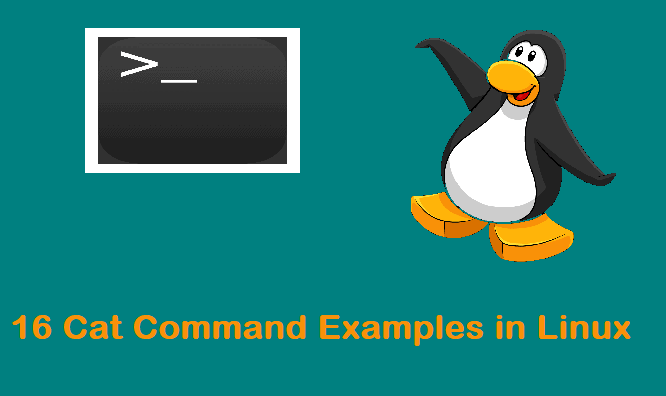 Cat-examples-in-linux