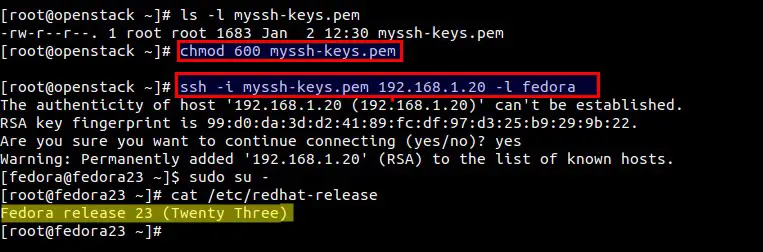 Access-openstack-instance-using-keys