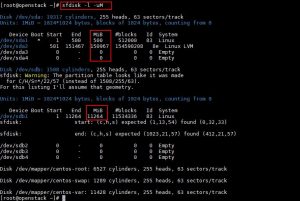 sfdisk-command-output