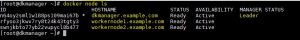 docker-node-ls-command-output