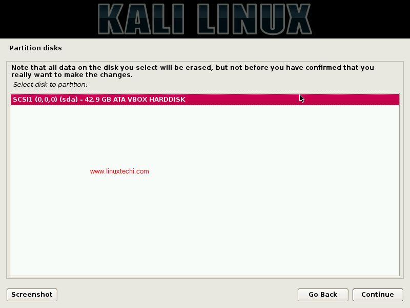 Disk-for-Partitioning-KaliLinux-installation