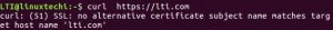 curl-command-silent