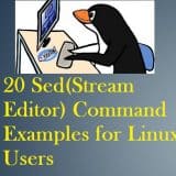 install wireshark gui centos 7 install wireshark gui centos 7