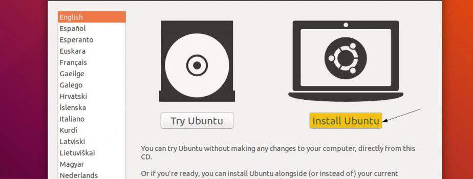Install-Ubuntu18-04-option