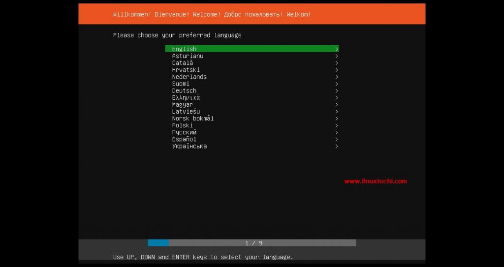 Preferred-Language-Ubuntu-18-04-Server-Installation-Guide