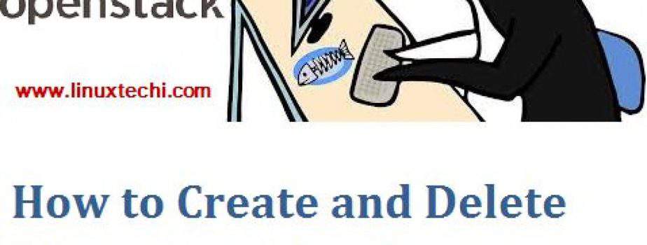 Create-Delete-VMs-Command-Line-Openstack