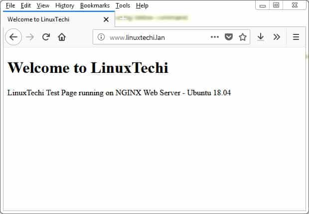 Nginx-LinuxTechi-Test-Pages