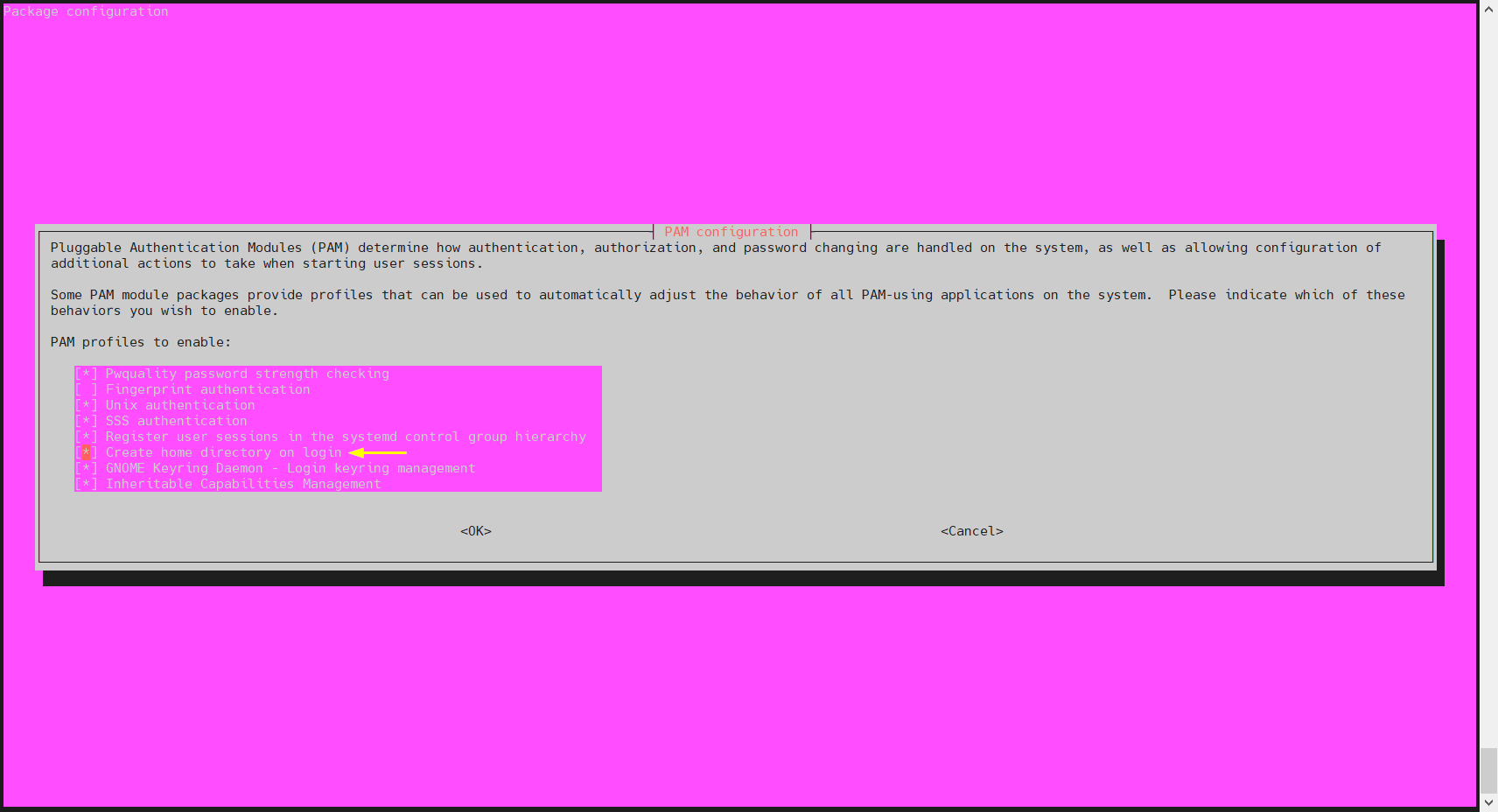 Choose-Create-Home-Directory-on-login-Ubuntu-Pam