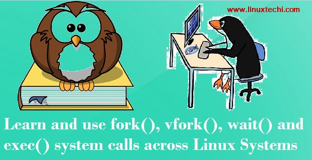Learn-fork-vfork-wait-exit-linux-systems