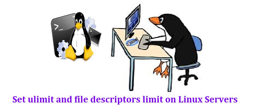 www.linuxtechi.com