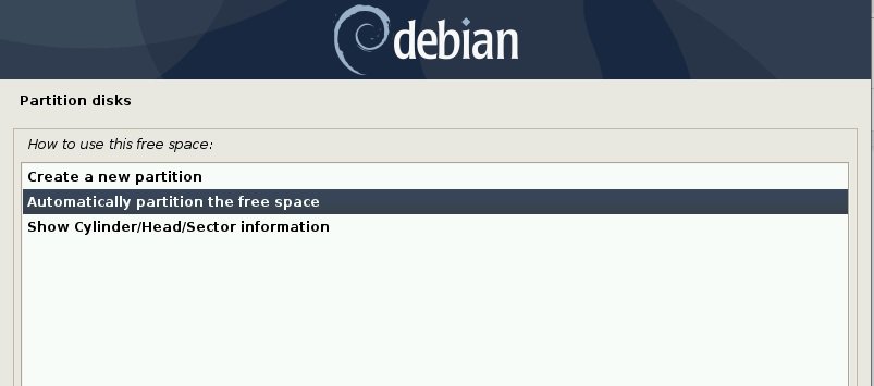 Automatically-partition-free-space-Debain10