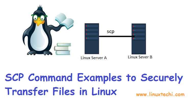 scp-command-examples-linux