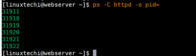 pids-process-linux-ps-command