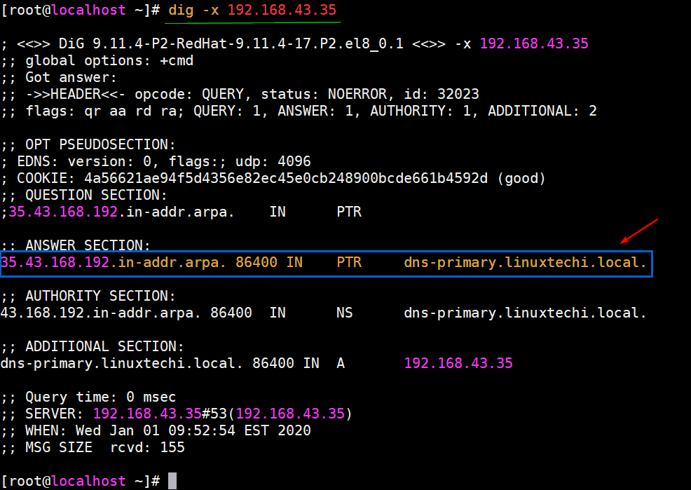 reverse-dns-lookup-dig-command-centos8