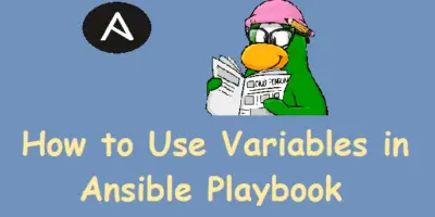 Use-Variables-in-Ansible-Playbook