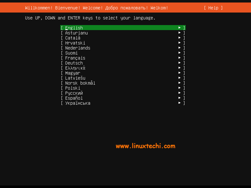 Language-Selection-Ubuntu-20-04-Server-Installation
