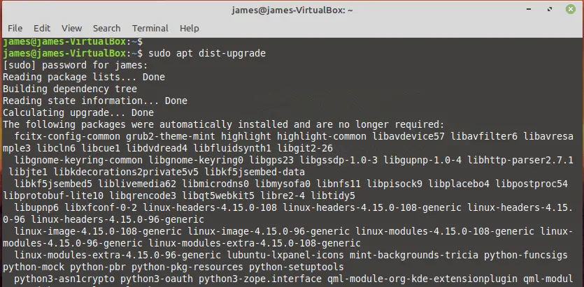 LinuxMint19-apt-dist-upgrade