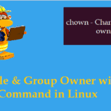 Change-linux-file-group-owner-chown-command