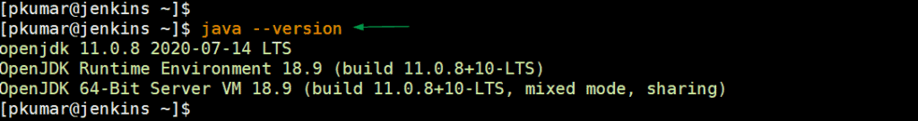 Java-version-check-centos8