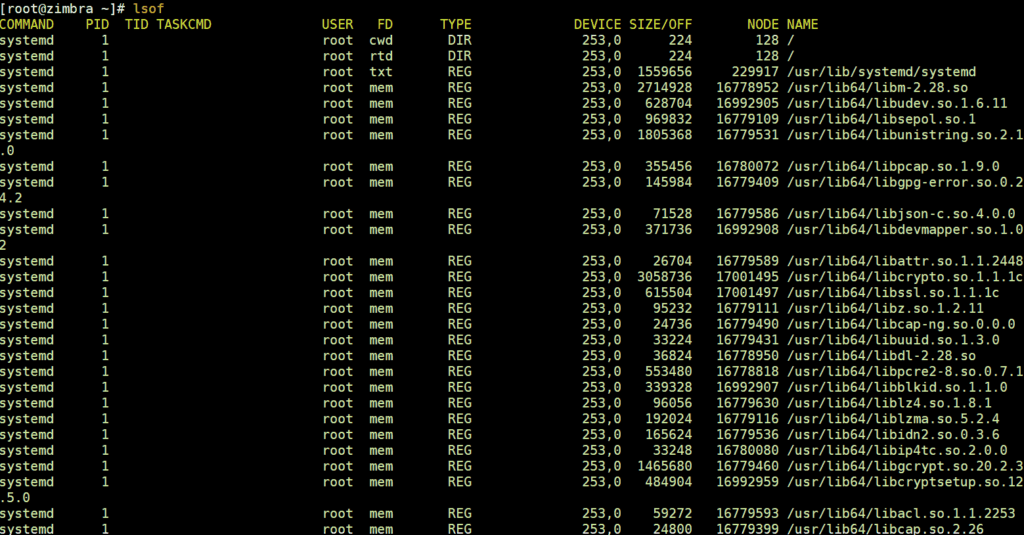 lsof-command-output-linux