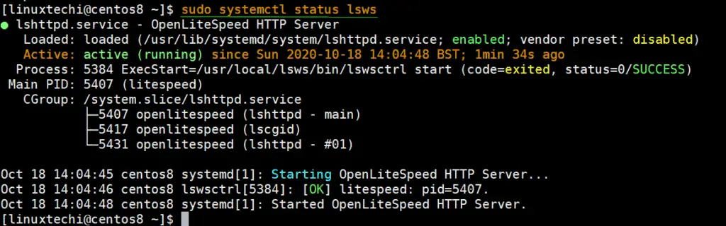 OpenLiteSpeed-server-status-CentOS8