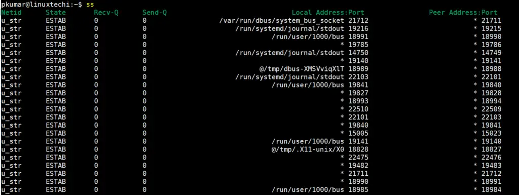 ss-command-output-without-agruments