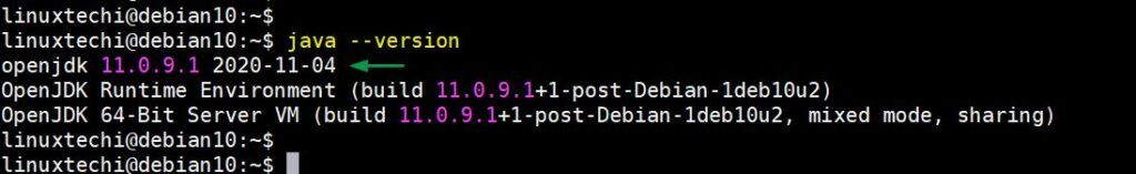 Java-Version-Check-Debian10