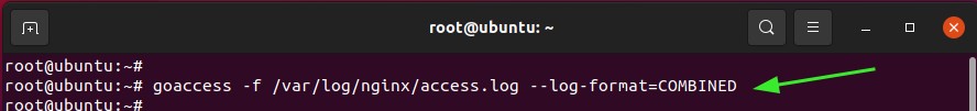 Goaccess-nginx-access-log-combined-linux