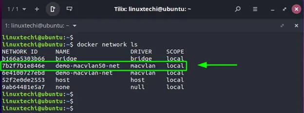 Docker-network-ls-trunk-mode