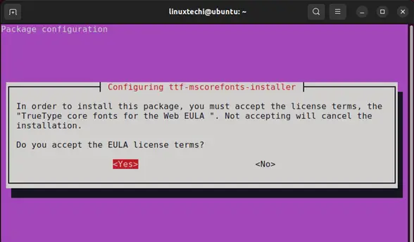Choose-Yes-EULA-License-Terms-Ubuntu