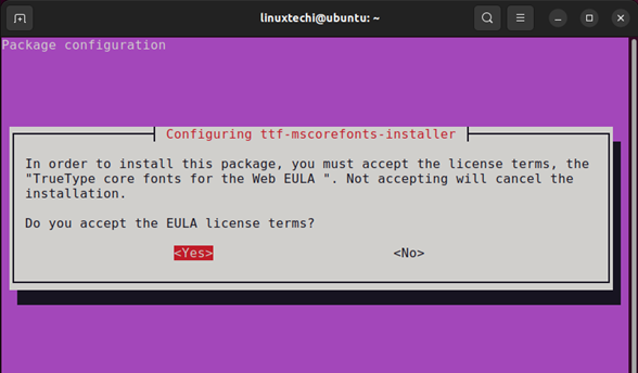 選択-はい-EULA-ライセンス-条件-Ubuntu