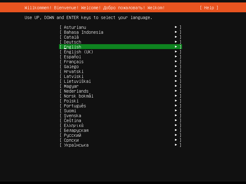 Language-Selection-During-Ubuntu-22-04-Server-Installation