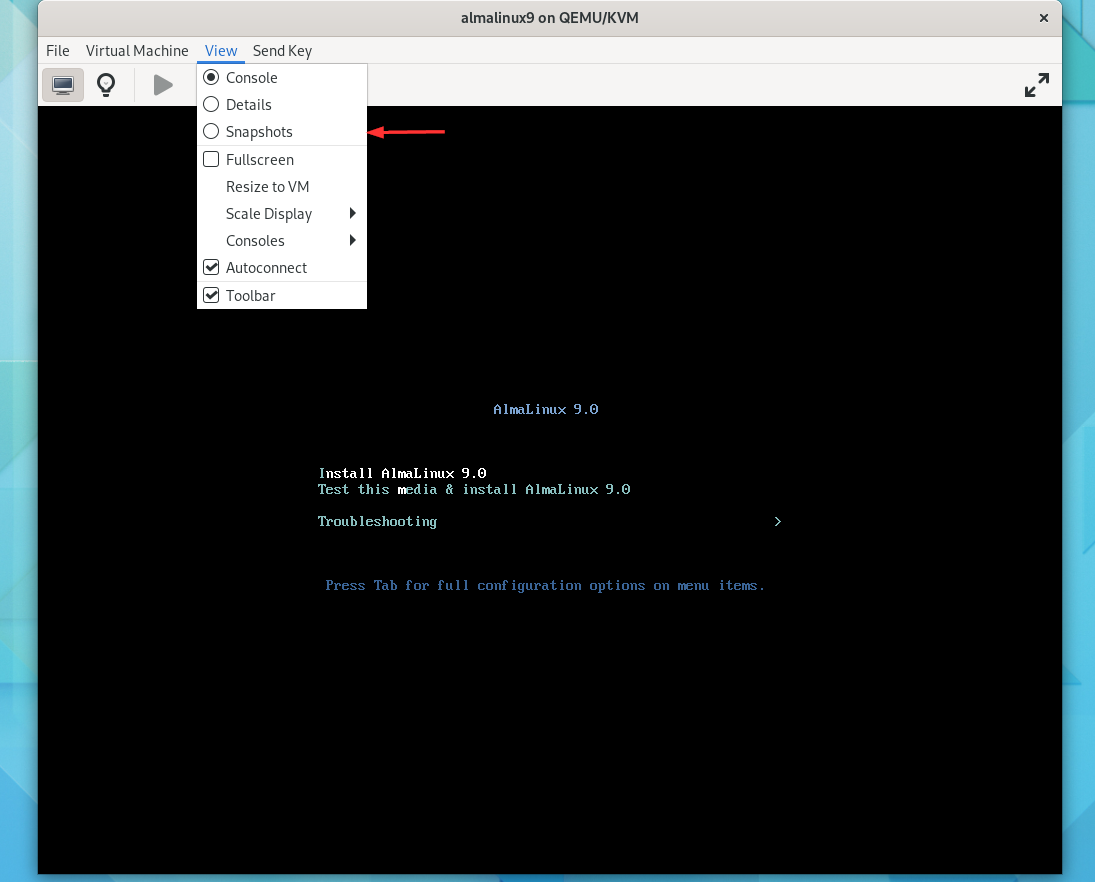 VM-Console-Option-Virt-Manager-GUI-Fedora