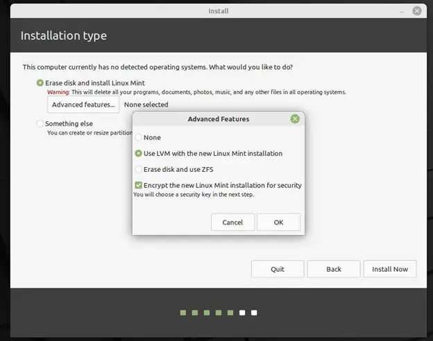 Advance-Features-LinuxMint21-Installation-Type
