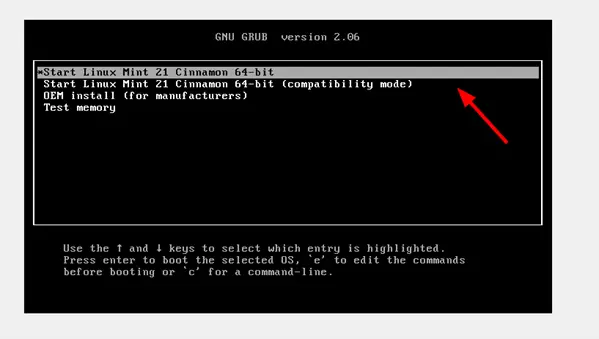 LinuxMint21-Installation-Grub-Screen
