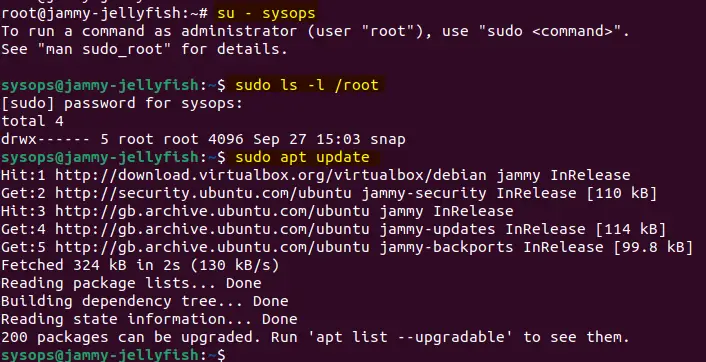 Testing-Sudo-Access-Ubuntu-Linux