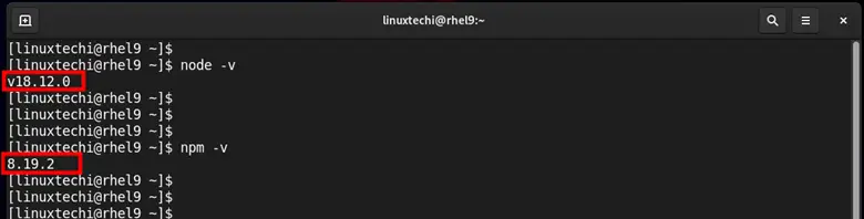 Verify-NodeJs-NPM-Version-RHEL9