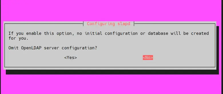 Choose-No-Cofiguring-slapd-ubuntu