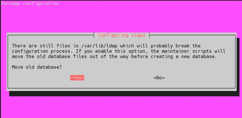 Select-Yes-Move-Old-Databases-Slapd-Ubuntu