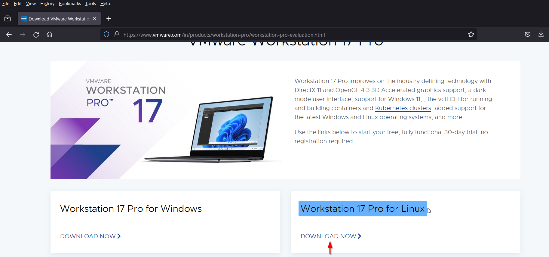 Download-VMware-Workstation-Pro-Linux-Mint21