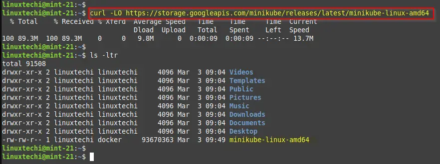 Dowload-Minikube-Binary-LinuxMint21