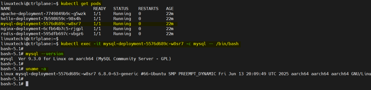 Kubectl exec command