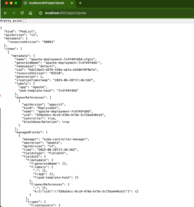 Kubernetes API in Web Browser